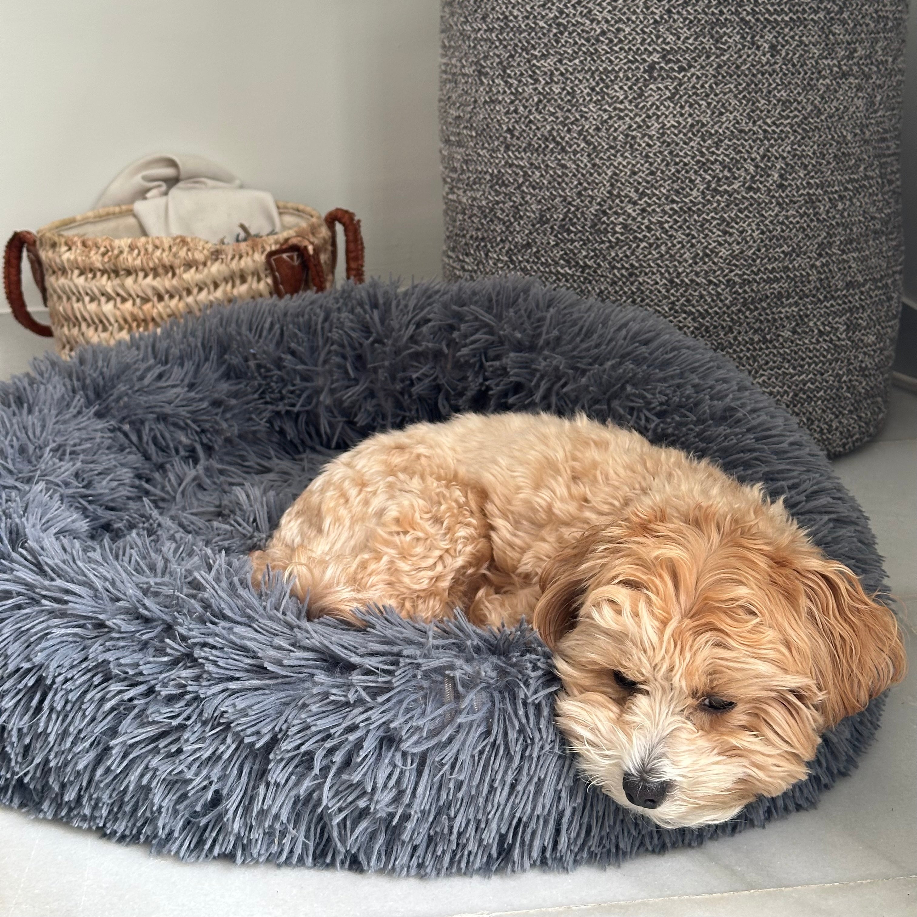 Anti-stress seng til kæledyr (Ø60 cm)