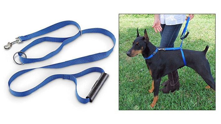 Instant Trainer Hundkoppel (Slumpmässig Färg)