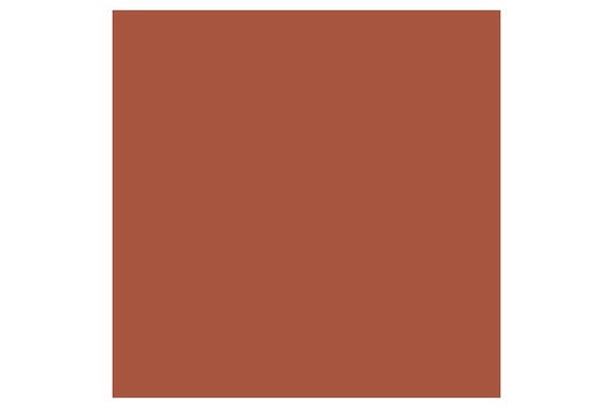 Promarker Burnt Umber R646 ⎮ 884955041246 ⎮ VE_832015