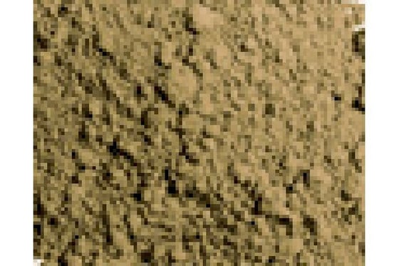 Pigmets natural sienna 35ml ⎮ 8429551731058 ⎮ VE_437627