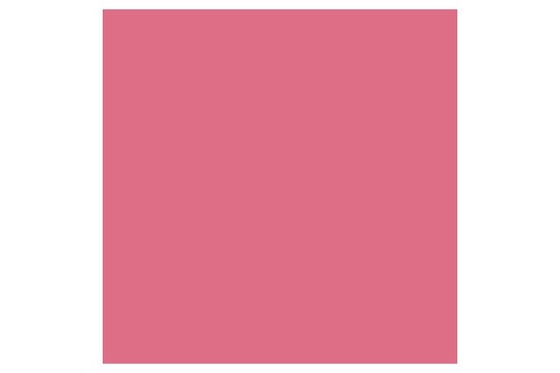 Promarker Antique Pink R346 ⎮ 884955041055 ⎮ VE_831996