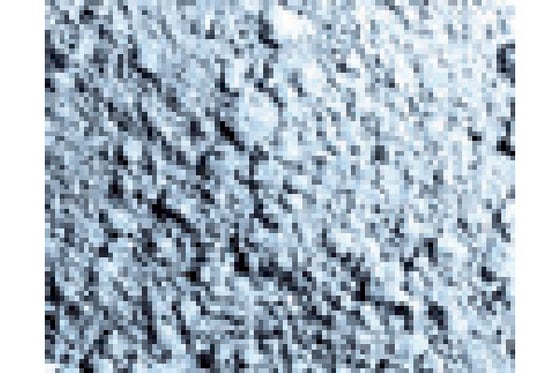 Pigments titanium hvid 35ml ⎮ 8429551731010 ⎮ VE_437623