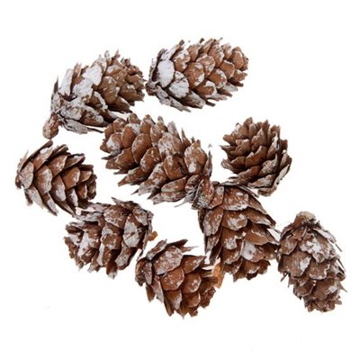 Kogler, H 2 - 3 cm 9pcs/bag, Natur ⎮ 5706207387429 ⎮ DG_002071