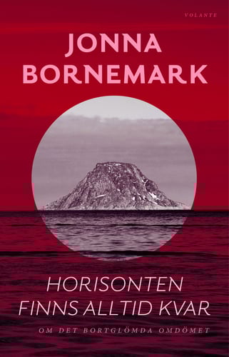 Horisonten finns alltid kvar : om det bortglömda omdömet 1 stk