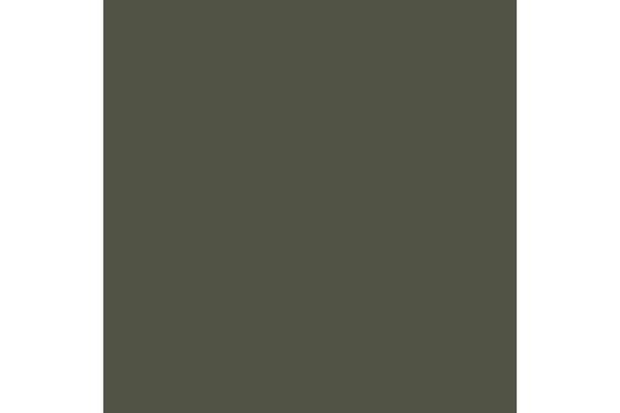 Cam. olive green mat 17ml ⎮ 8429551708944 ⎮ VE_422822