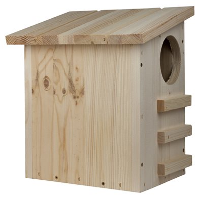 Care Bird Foderhus egern natur fyretræ ⎮ 5708787462404 ⎮ FS_000261