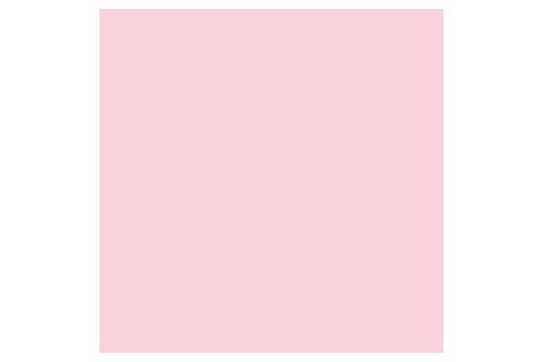 Promarker Pale Pink R519 ⎮ 884955041963 ⎮ VE_832087