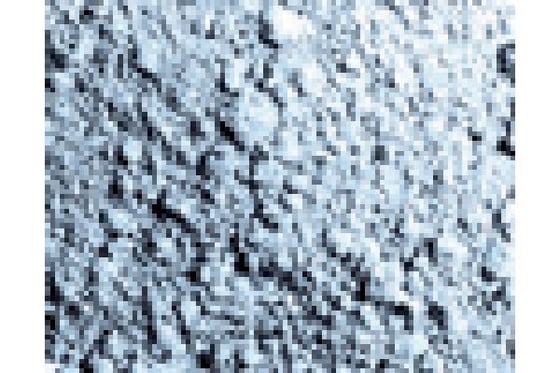 Pigments titanium hvid 35ml ⎮ 8429551731010 ⎮ VE_437623