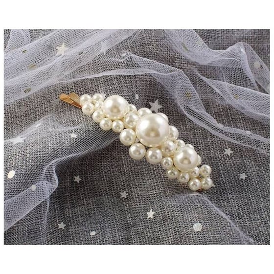 Everneed Hårspænde 1 stk Snaphårspænde Metal, Plast ⎮ 1348100241350 ⎮ EV_000881