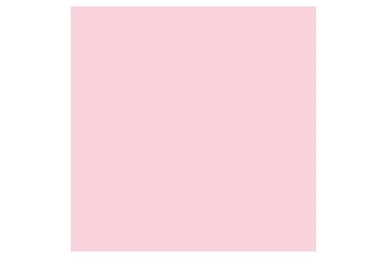 Promarker Pale Pink R519 ⎮ 884955041963 ⎮ VE_832087