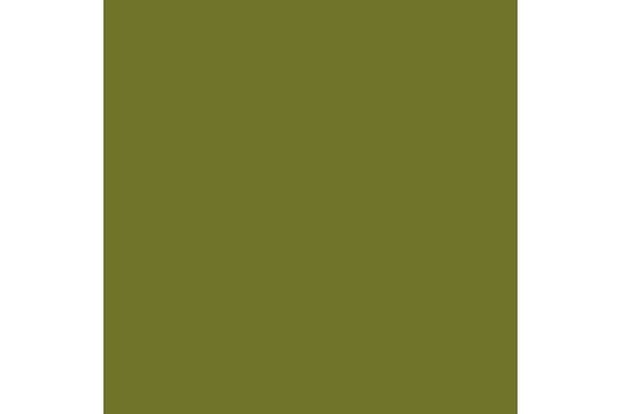 Camouflage green 17ml ⎮ 8429551720311 ⎮ VE_422963