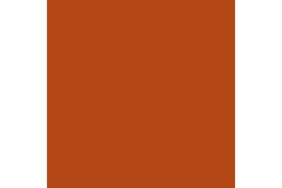 Parasite brown 17ml ⎮ 8429551720427 ⎮ VE_422974