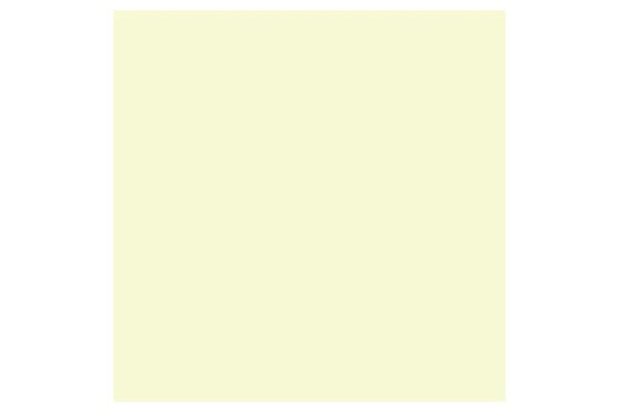 Promarker Primrose Y919 ⎮ 884955042106 ⎮ VE_832101