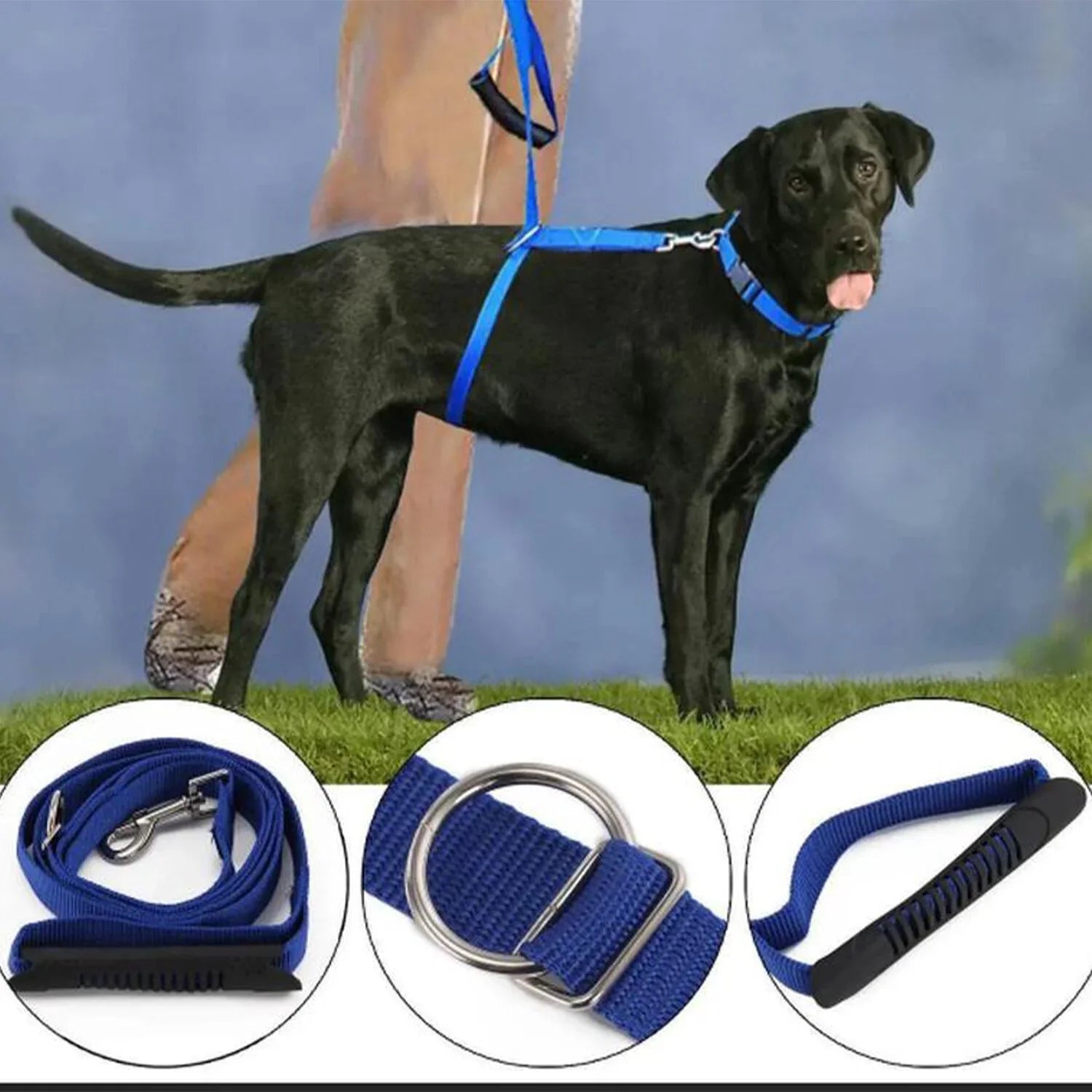 Instant Trainer Hundkoppel (Slumpmässig Färg)