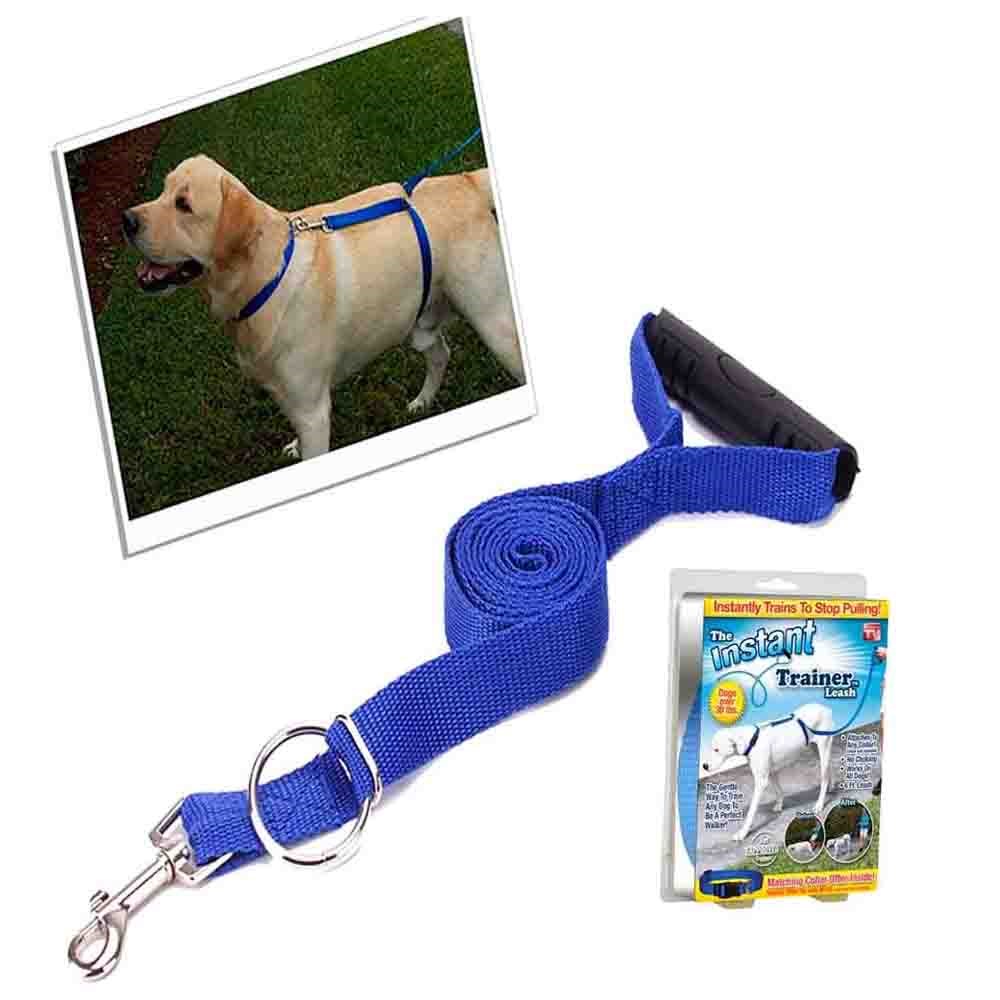 Instant Trainer Hundkoppel (Slumpmässig Färg)